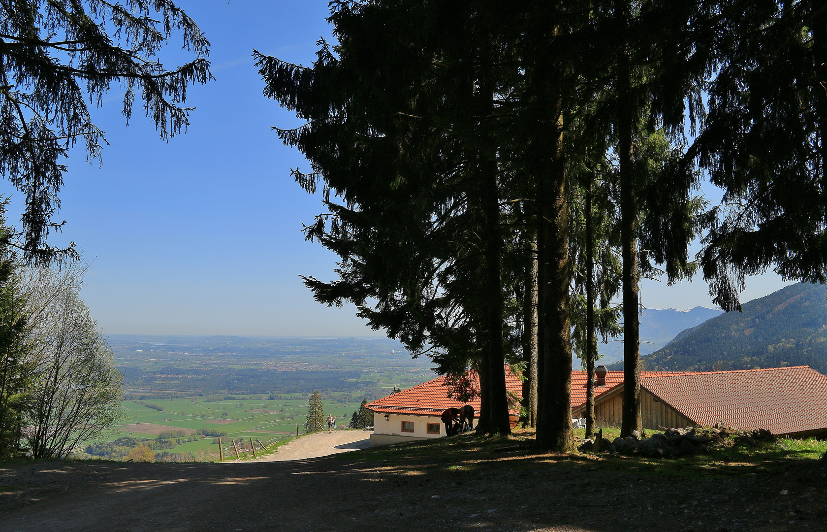 Tregler Alm (950m) mit Weitblick