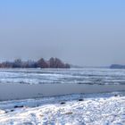 Treibeis auf der Donau - 12.Feb. 2012