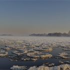 Treibeis auf der Elbe bei Bleckede