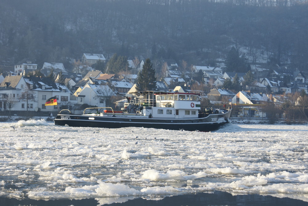 Treibeis auf der Mosel