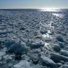 Treibeis vor Spitzbergen