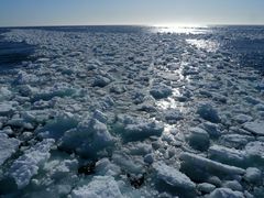 Treibeis vor Spitzbergen