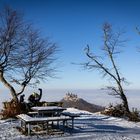 Treiben am Zeller Horn 