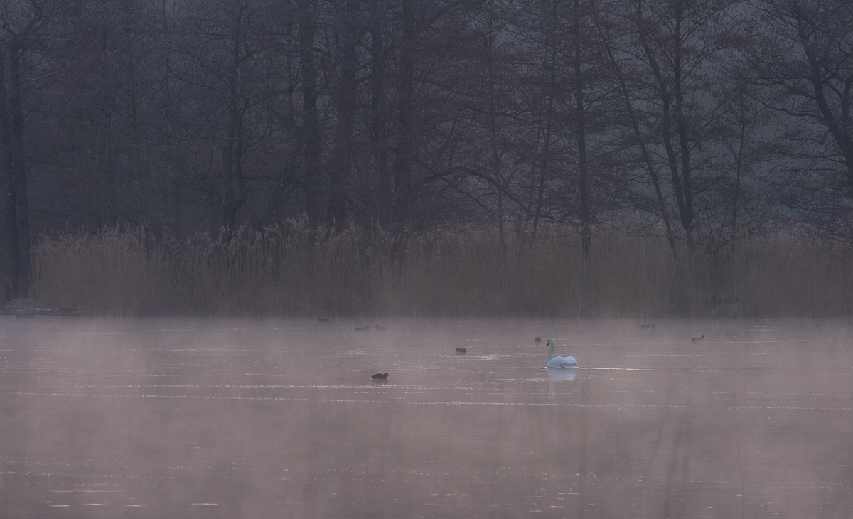 Treiben auf dem See