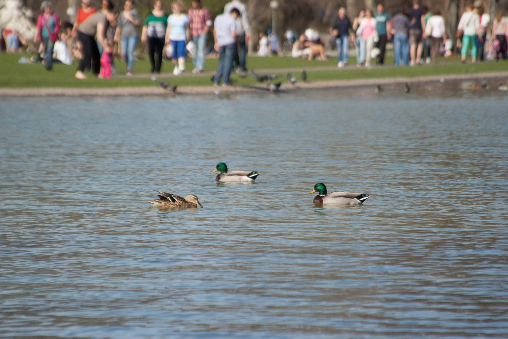 Treiben auf dem See