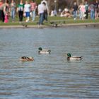 Treiben auf dem See