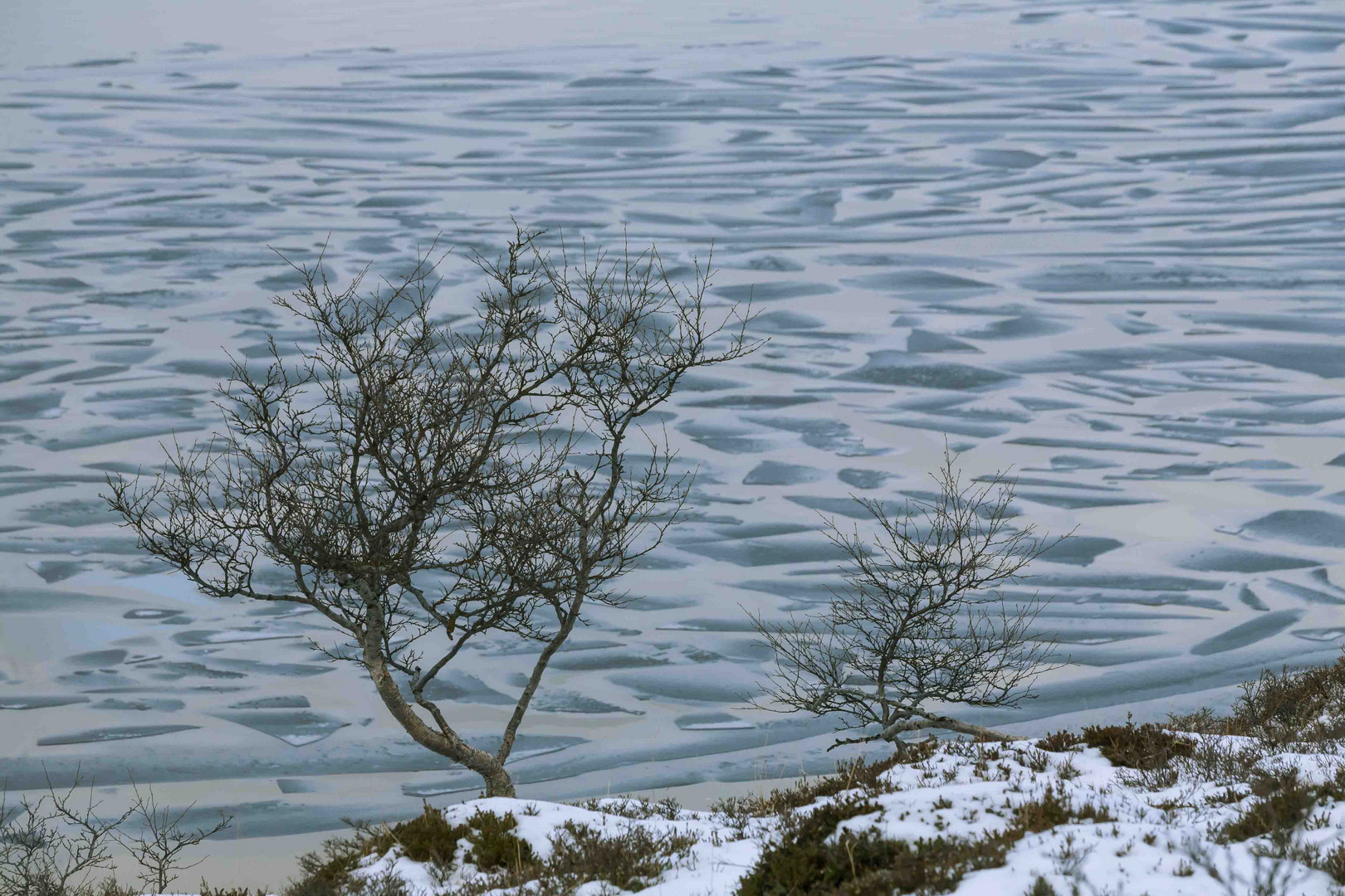 treibendes Eis wirft Muster auf Wasser