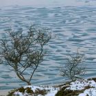 treibendes Eis wirft Muster auf Wasser