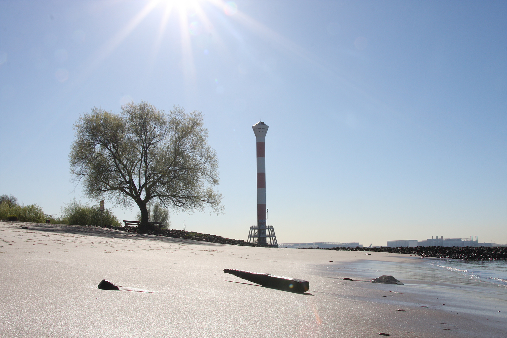 Treibgut am Elbstrand vor Blankenese