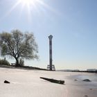 Treibgut am Elbstrand vor Blankenese