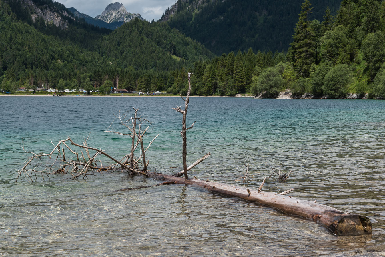 Treibgut im Plansee