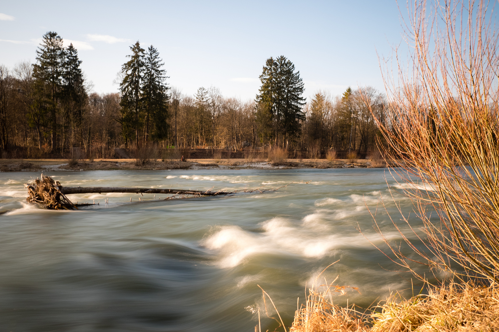 Treibgut in der Isar