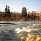 Treibgut in der Isar