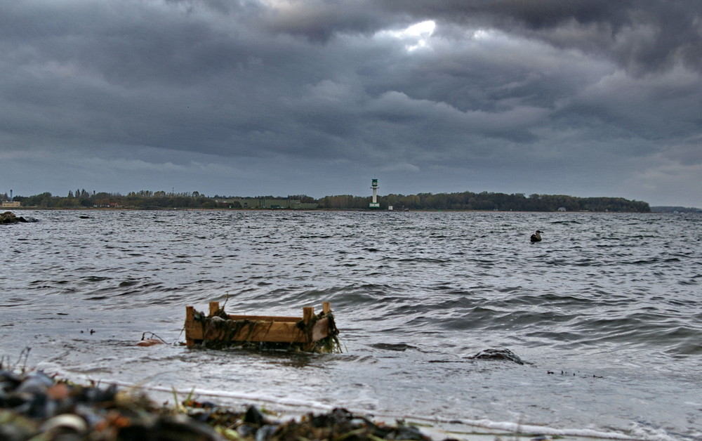 Treibgut in Mönkeberg (bei Kiel)