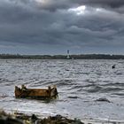 Treibgut in Mönkeberg (bei Kiel)