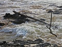 Treibgut / Oggetti alla deriva