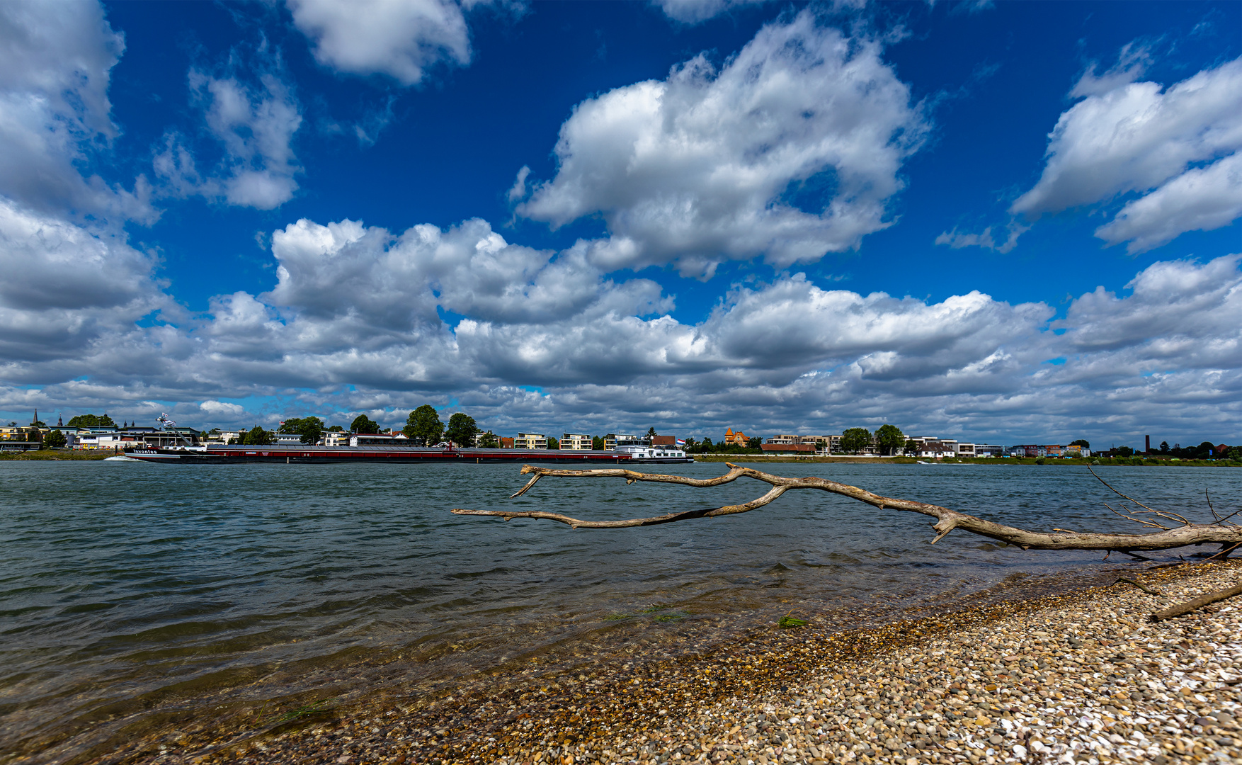 Treibholz Foto & Bild landschaft, jahreszeiten, sommer Bilder auf