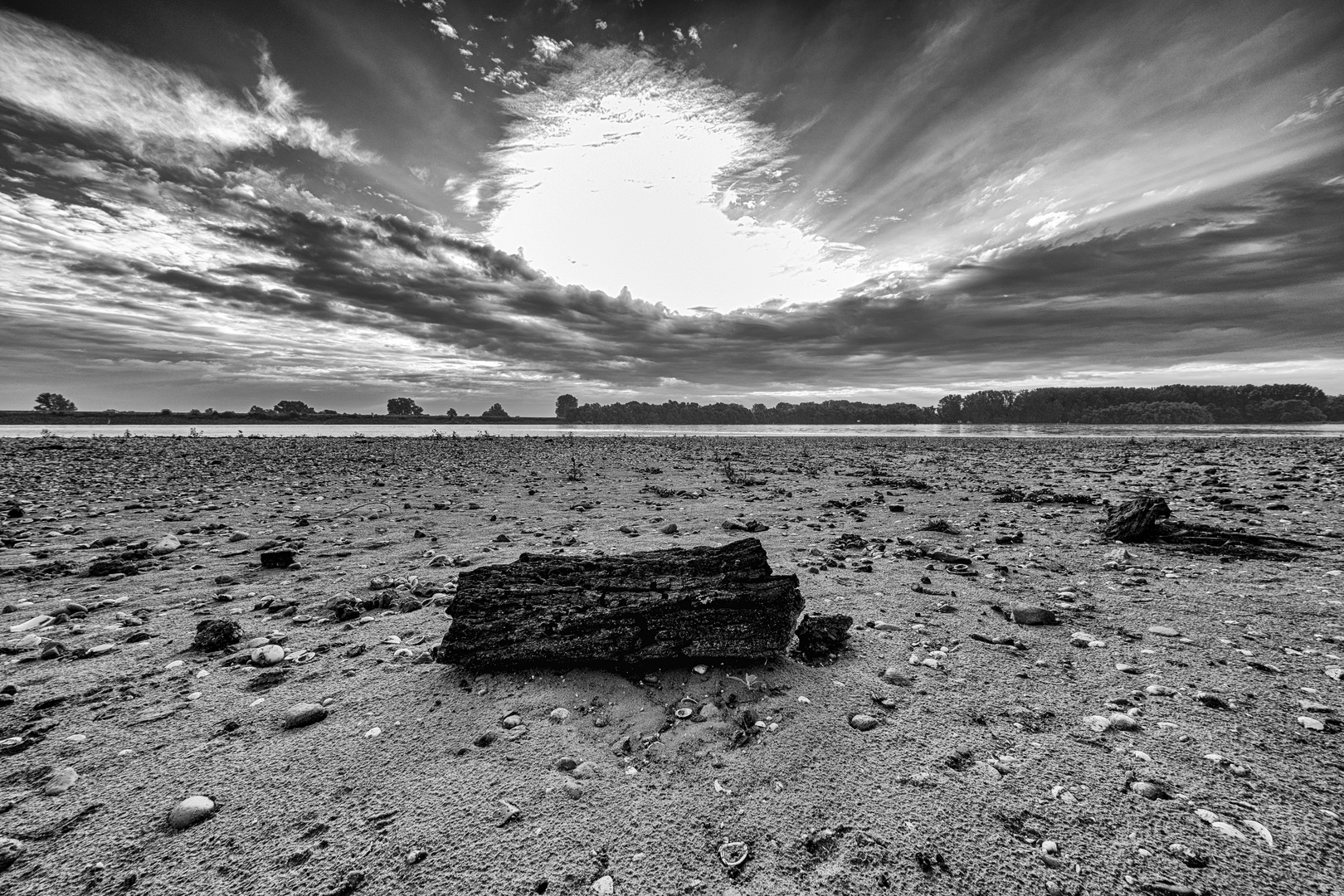 Treibholz Foto & Bild landschaft, sonstiges, totes Bilder auf