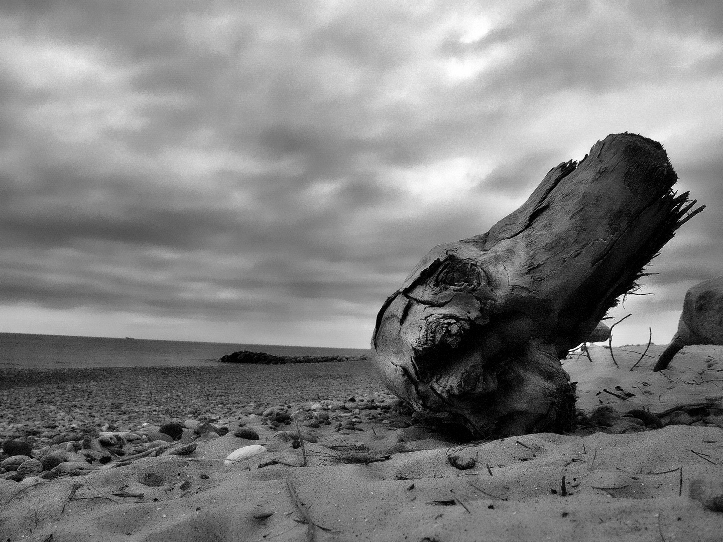 Treibholz Foto & Bild europe, scandinavia, denmark Bilder auf