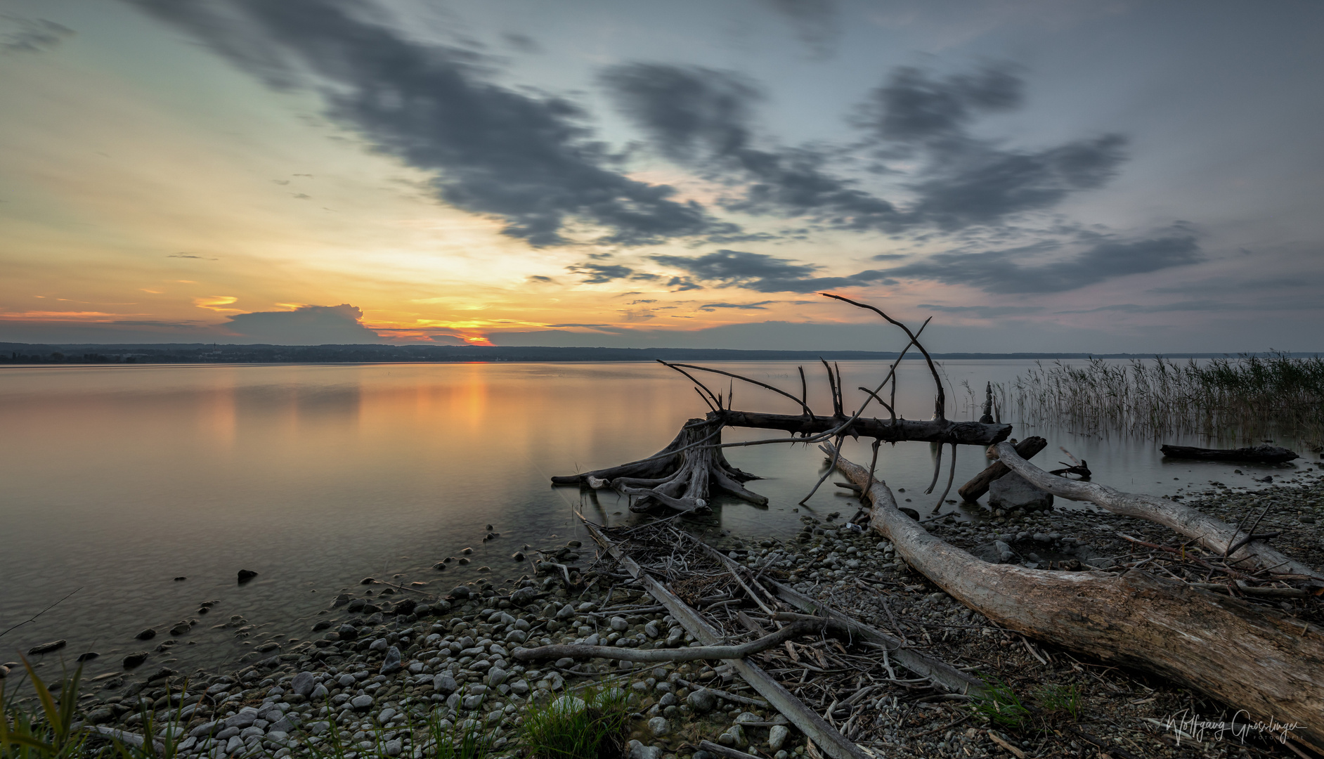 Treibholz am Ammersee