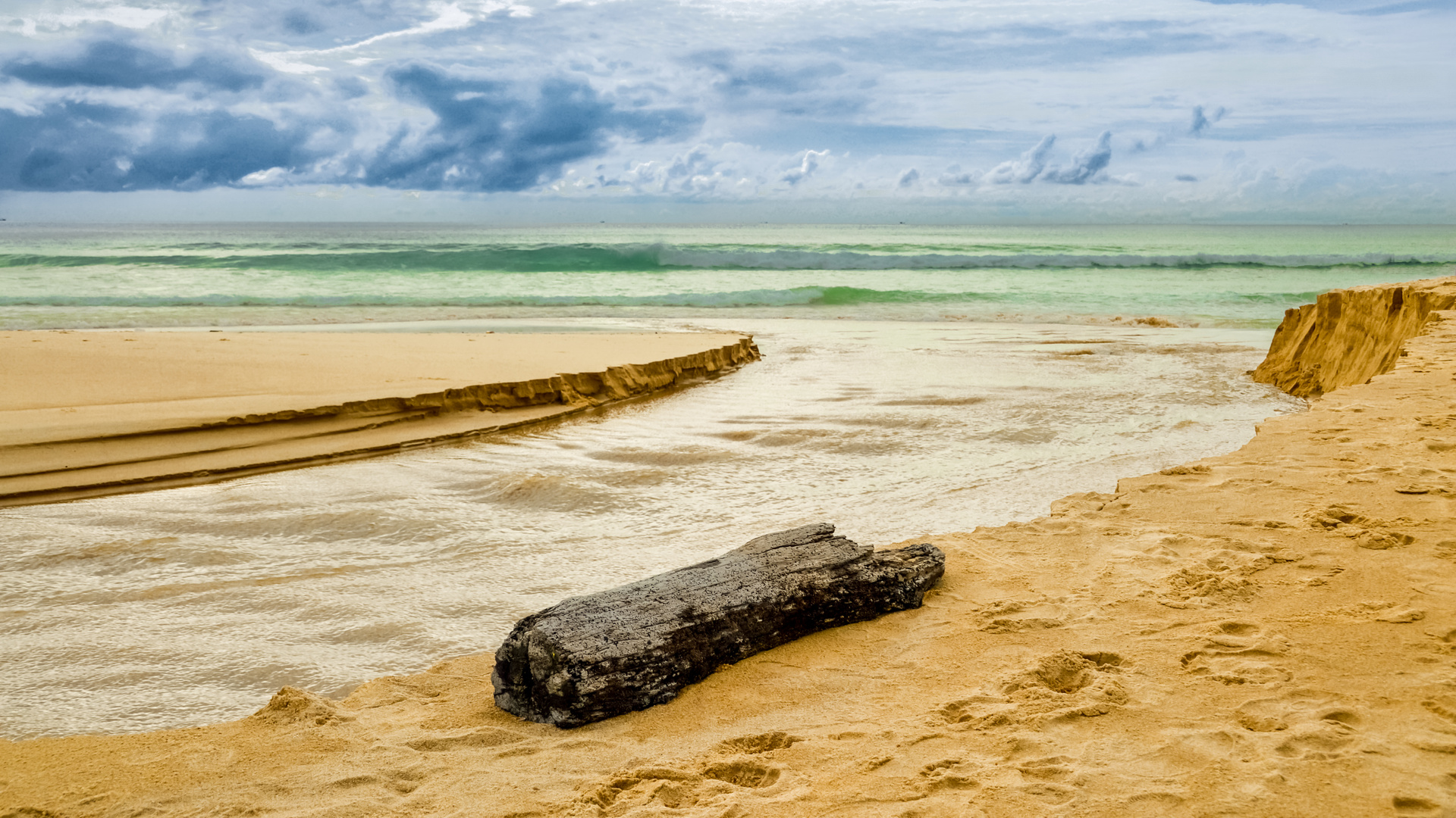 Treibholz am Karon Beach Phuket Thailand