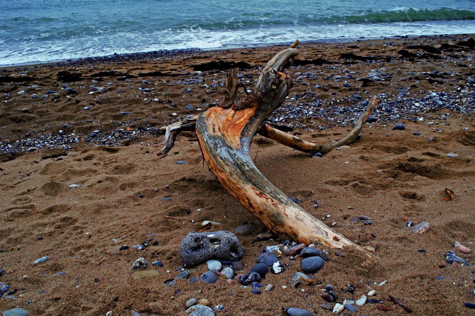 Treibholz am Rügener Strand