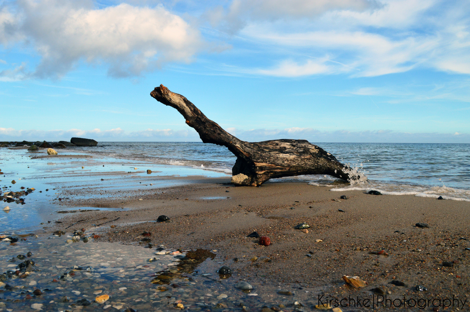 Treibholz am Strand