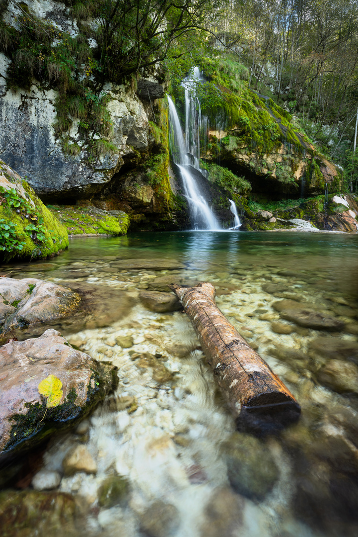 Treibholz am Wasserfall