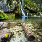 Treibholz am Wasserfall