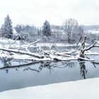 Treibholz am Wehr, Spiegelung