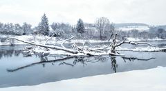 Treibholz am Wehr, Spiegelung