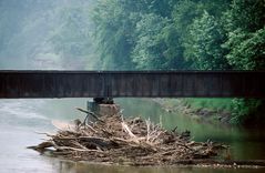 Treibholz an einer Eisenbahnbrücke im Mississipi...