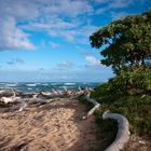 Treibholz auf Kauai