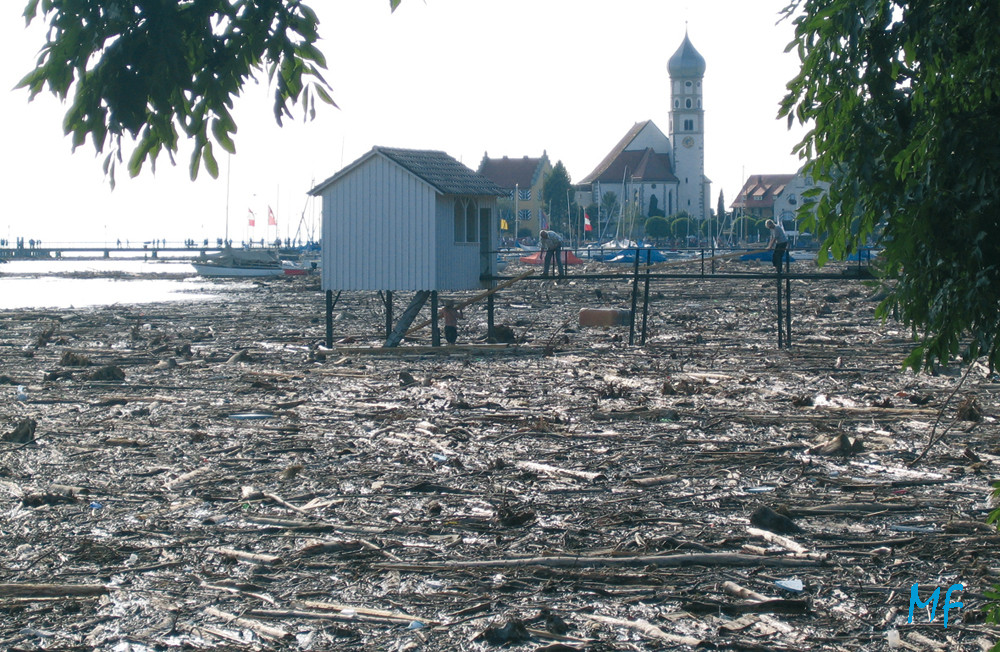 Treibholz aus den Bergen im Bodensee