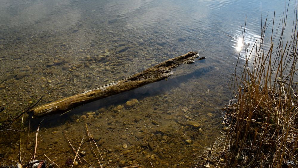 Treibholz Foto & Bild april, natur, fluss Bilder auf