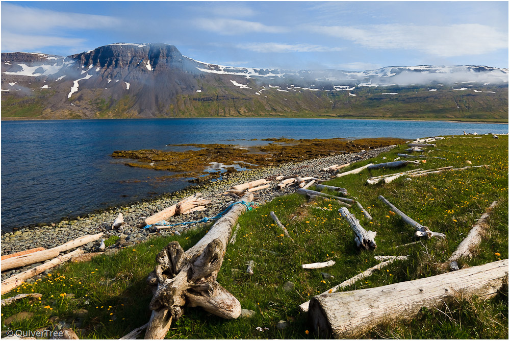 Treibholz im Furufjörður, Hornstrandir, Island.