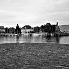 Treibholz vor der Hüttn, ein Kunstwerk der Natur - Der Hafen von Lindau im Mai 2019