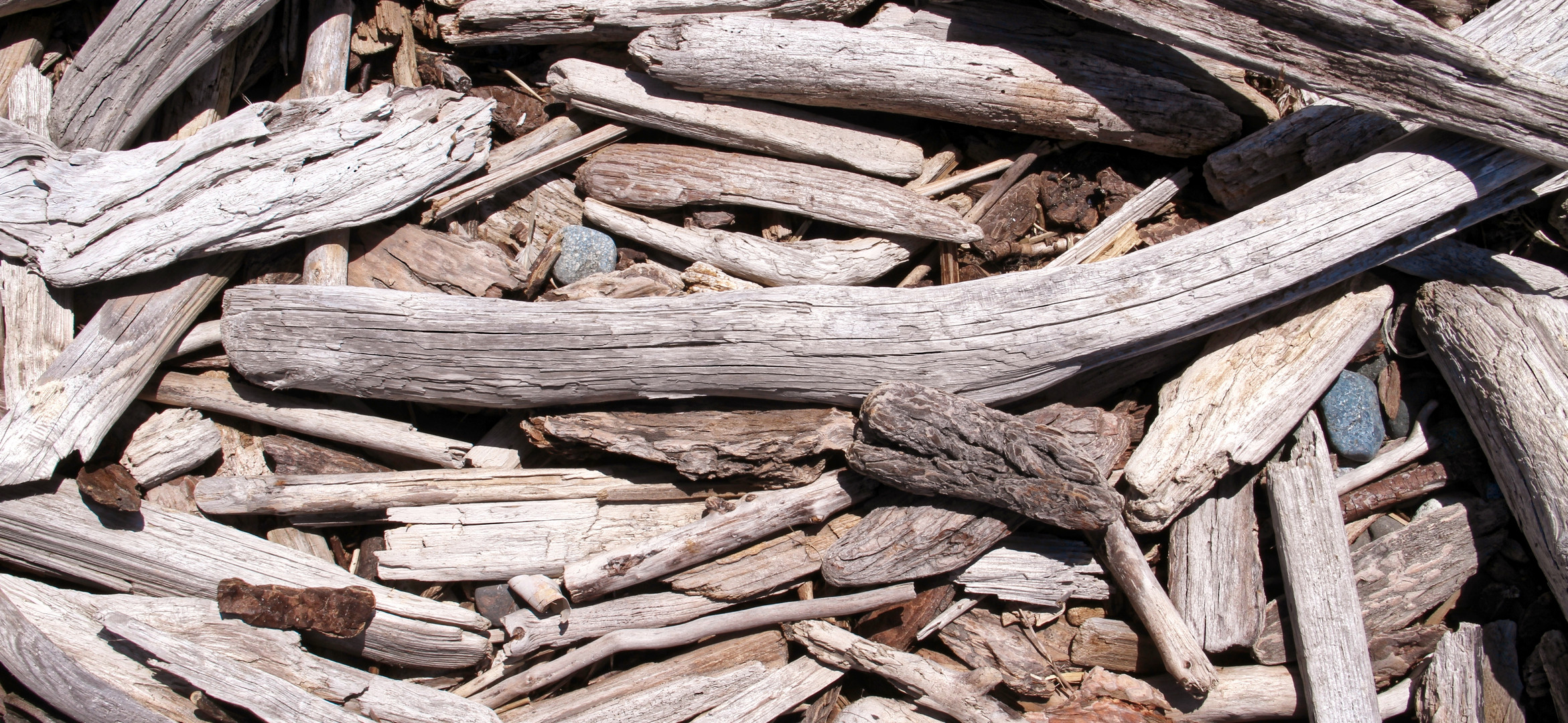 Treibholzecke  -  driftwood corner