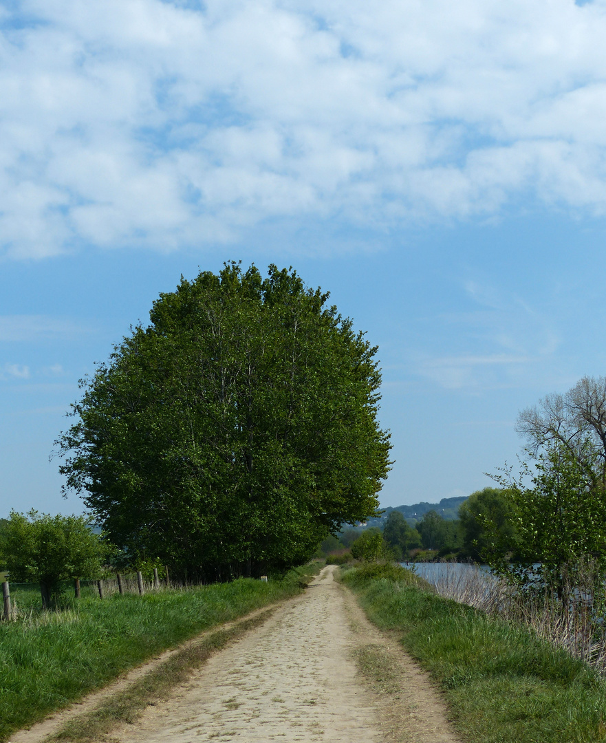 Treidelpfad an der Ruhr