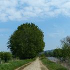 Treidelpfad an der Ruhr