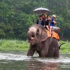 trek en inde