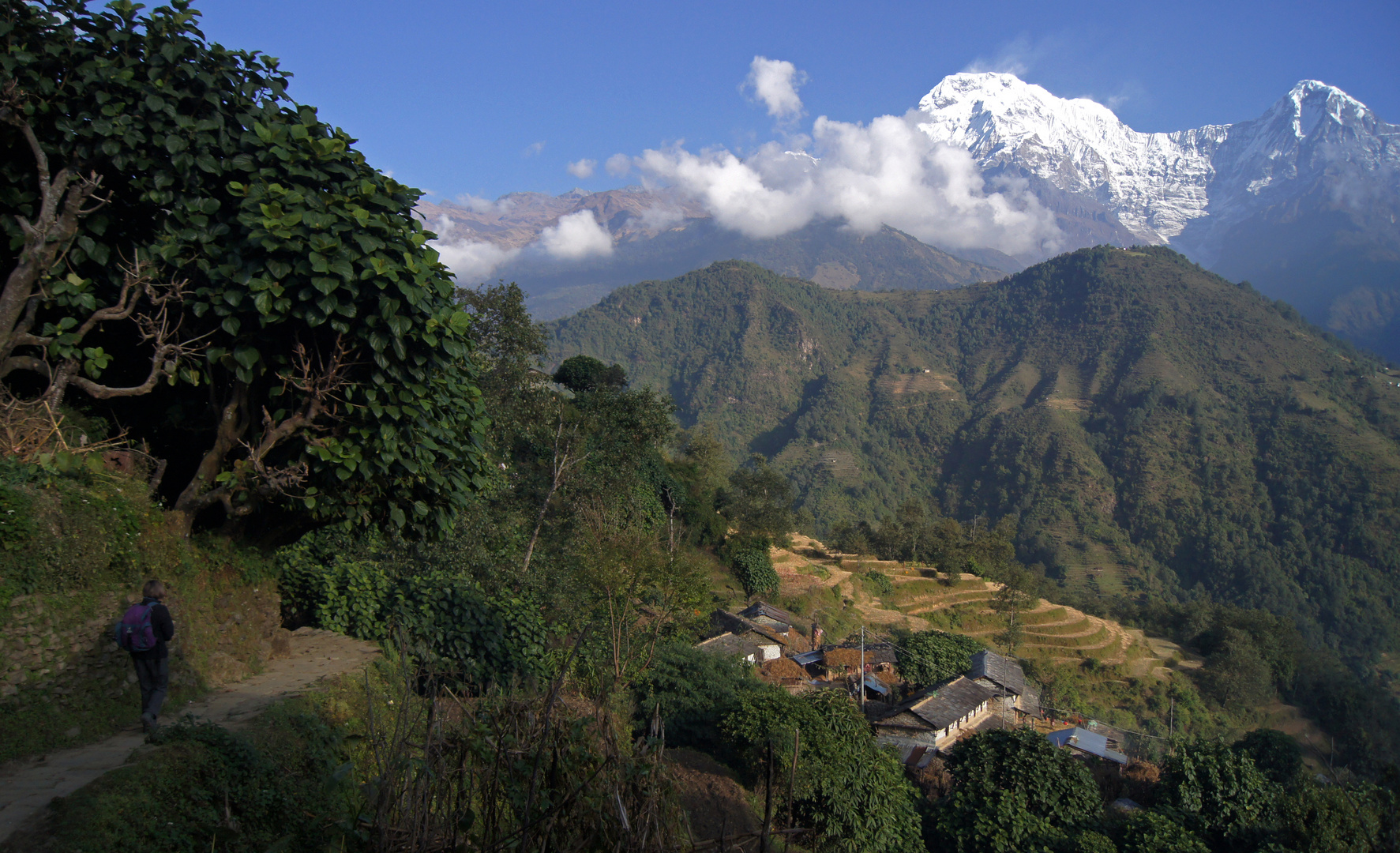 Trek zum Annapurna Basecamp 1