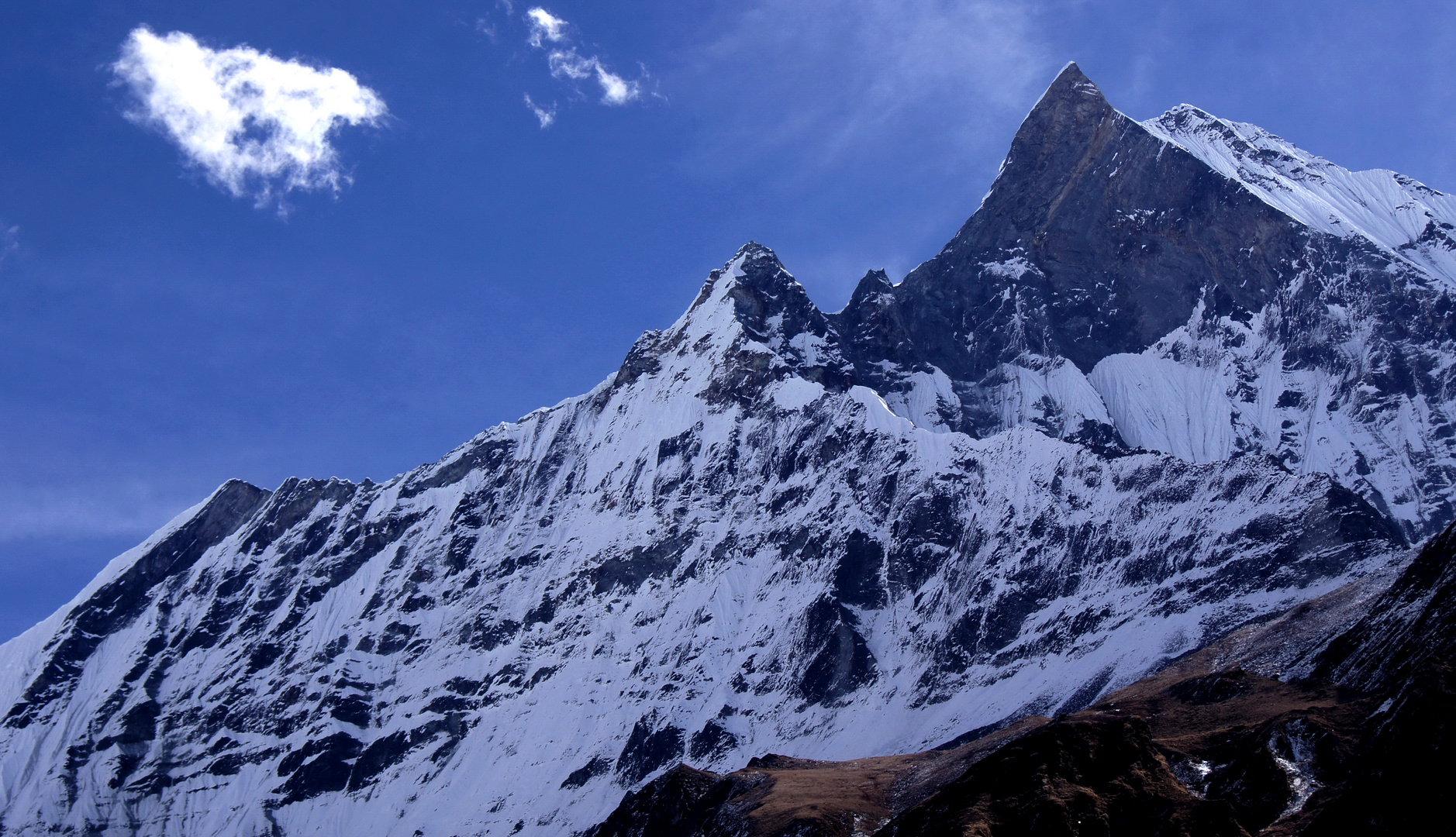 Trek zum Annapurna Basecamp 11