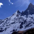 Trek zum Annapurna Basecamp 11