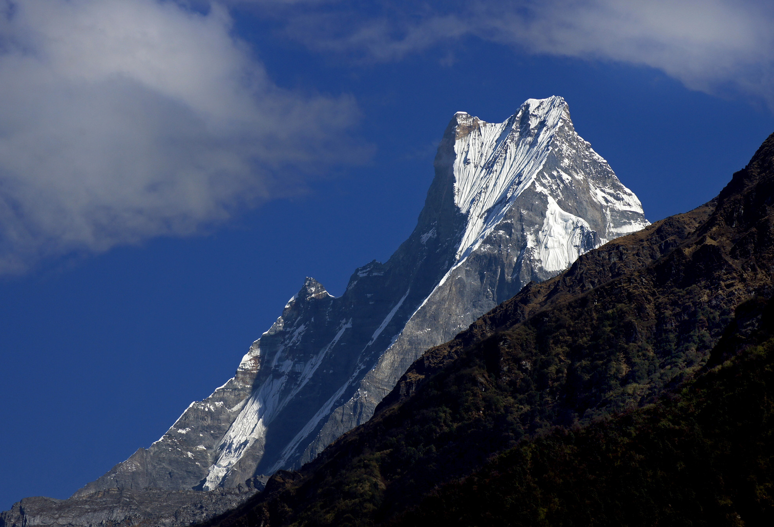 Trek zum Annapurna Basecamp 2