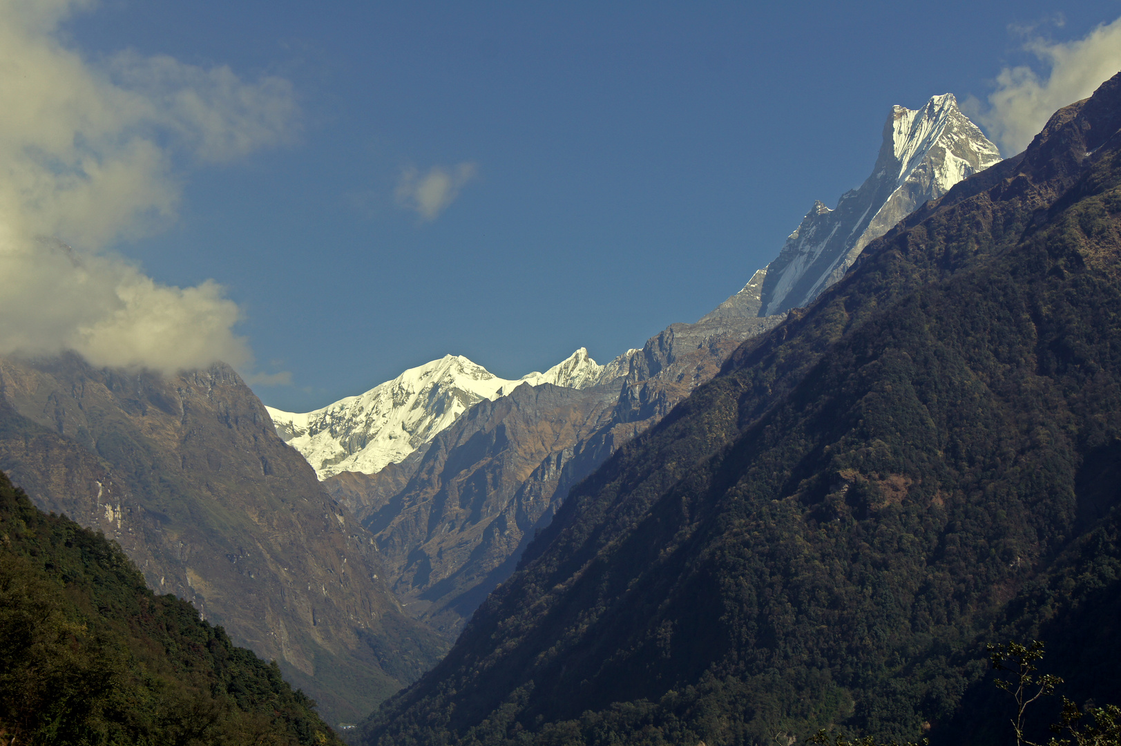 Trek zum Annapurna Basecamp 4