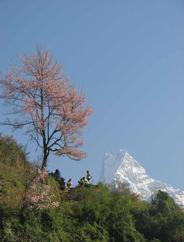 Trekkers to Mt. Fishtail