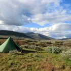 Trekking 2011.08 Rondane