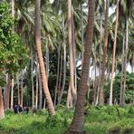 Trekking auf der Insel Malekula-Vanuatu