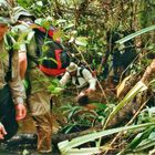 Trekking im Regenwald von West Papua